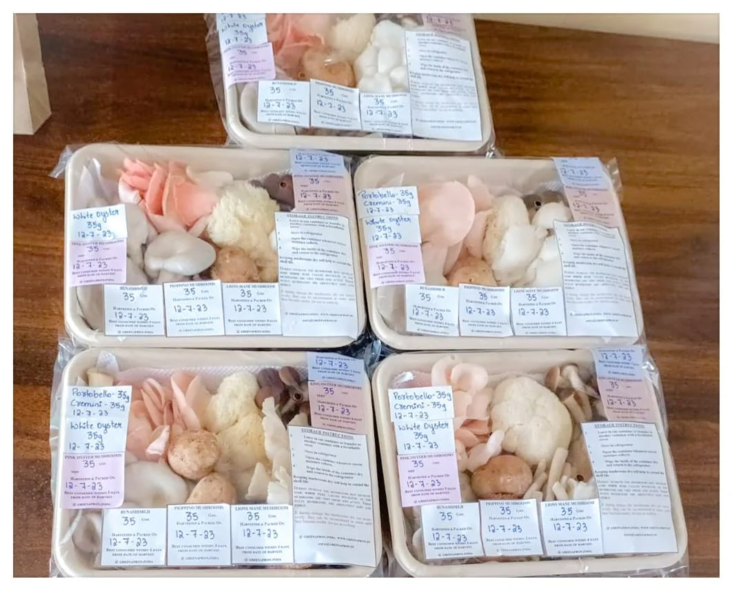Assorted mushrooms in retail trays with clear packaging film